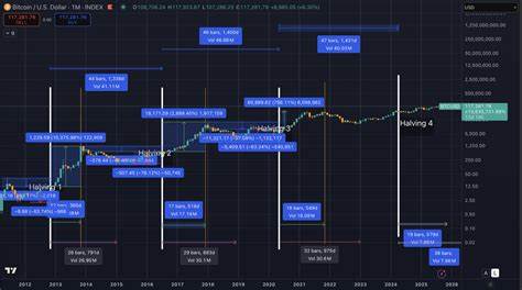 随着比特币价格逼近新高,各方目光聚焦即将到来的十月底周期窗口,政策走向与ETF资金流动的交织可能引发市场新变局。深入探讨比特币周期规律与现阶段市场变量,解读未来几个月可能的走势和潜在机遇。

