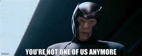 探讨社群分裂对独立应用开发者以及网络社区生态的影响,揭示从被尊敬的成员转变为被疏远者的心理与现实变化,以及未来社群关系与独立应用生态的挑战。
