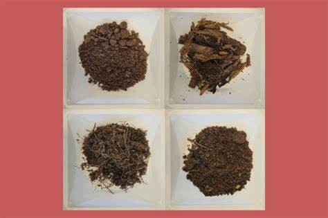 揭示土壤中新发现的细菌以及两种潜在抗生素的研究进展,展示其在抗菌药物研发中的重要意义,探讨这一发现为解决抗菌素耐药危机带来的希望。
