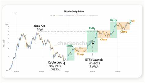 基于Checkonchain与Unchained等链上指标与市场结构分析,解读为何比特币可能尚未进入极端牛市右侧,评估240,000美元与更高目标的逻辑、技术面支撑、宏观与资金面驱动以及投资者风险管理建议。
