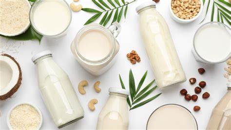 No vegan milk is equivalent to dairy, nutritionists conclude