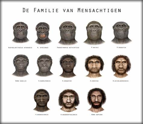 深入探讨人类的起源、多样性及分类,结合最新科学研究,揭示现代人类的发展历程及心理类型,带您全面了解人类的多样性和演化历史。
