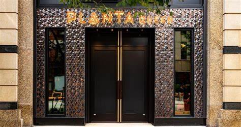 Planta作为加拿大多伦多著名的植物基餐厅品牌,经历了破产重组后成功重振,持续推进植物基饮食理念,以创新菜品和环保理念赢得市场关注,成为植物基餐饮行业的典范。本文深入探讨Planta的破产背景、重组过程及未来发展方向。
