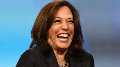 Wall Street's billionaires and big-hitters are backing Kamala Harris: 'This is a clarion call for democracy' - Fortune