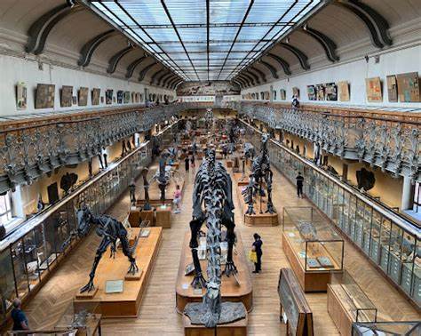 巴黎自然历史博物馆近期发生一起重大盗窃案,数件价值约60万欧元的原生黄金标本被盗,这不仅是一次简单的财物丢失,更触及文化遗产保护的核心,引发公众和专业领域的广泛关注。本文深入解析事件详情及其背后的文化意义。
