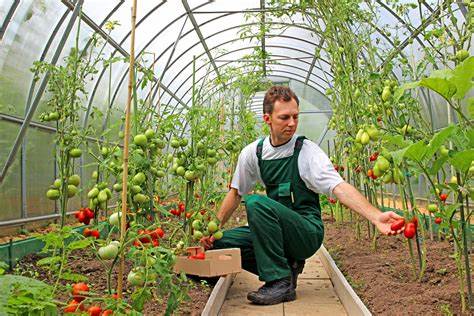 全面解析多尔公司(Dole plc)的市场表现、财务状况及未来潜力,探讨其低估溢价和多重催化剂驱动的投资价值,深入挖掘这家全球知名农产品巨头的看涨理由。
