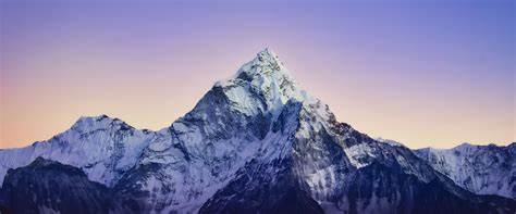 深度解析布朗咨询全球领导者策略在2025年第二季度退出Illumina的背后原因,探讨基因测序行业的市场环境变化及投资组合调整策略。
