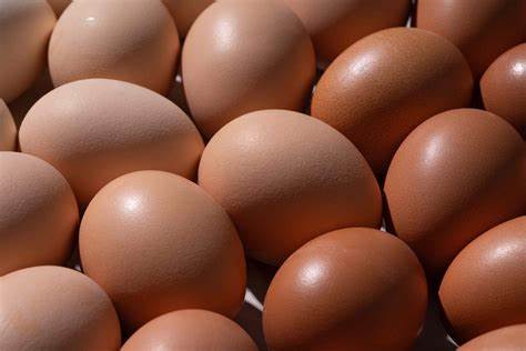 Cal-Maine作为美国最大蛋类生产商首次举行季度财报电话会议,背后反映出企业转型、投资者关系升级与行业趋势的多重信号,为理解蛋类市场、企业战略和监管讨论提供新的视角
