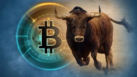 Are Bitcoin bulls back? CryptoPunks’ power. China’s crypto lawfare. - Forkast News