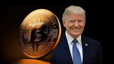 Trump's bitcoin reserve a 'digital Fort Knox' - FRANCE 24 English