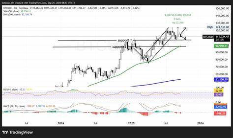 比特币回调至11.2万美元下方:高盛前高管Raoul Pal为何押注2026年再创新高
