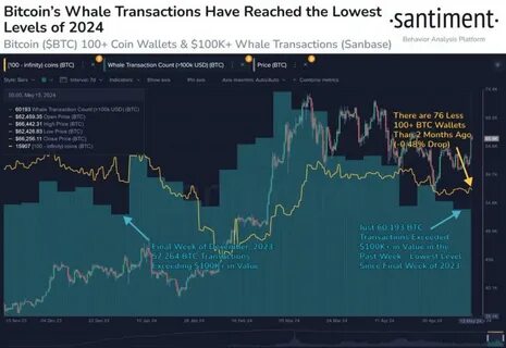 Shocking $22 Million Loss: Bitcoin Whale’s Massive 1,500 BTC Transaction Sends Markets Spiraling