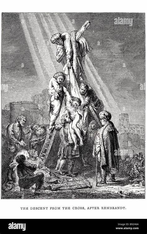 探索自然界中被称为"死亡射线"的神秘现象,揭示它们如何在微观和宏观层面保护生命,对生态系统和现代科技的深远影响。
