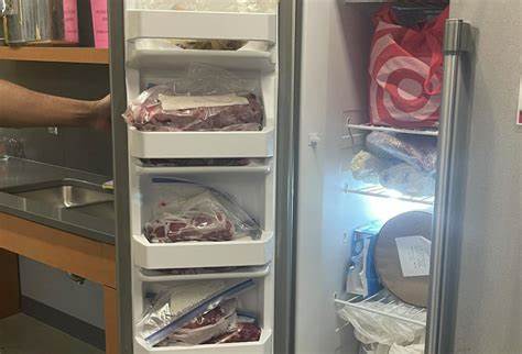 近日,康奈尔大学两名学生在Ganędagǫ宿舍楼的公共厨房内合法处理一头猎获的熊,引发校内外广泛关注与热议。事件经过、法律背景以及公众反应成为焦点,反映校园生活与野生动物保护之间的复杂关系。
