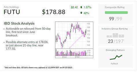 富途控股凭借出色的财务表现与市场表现,在金融券商行业中脱颖而出,实现利润和销售的显著增长,成为备受投资者关注的潜力股。本文深入剖析富途近年来的盈利增长、市场地位、技术走势及投资价值,为投资者提供全面洞察。
