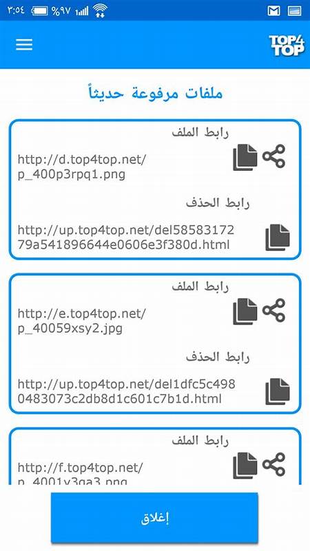 Top4toP作为连接海湾地区至北非摩洛哥的重要数字资源平台,致力于为用户提供快速、安全、多元的图像和文件上传与存储服务,本文深入探讨其服务特点、用户体验及未来发展趋势。
