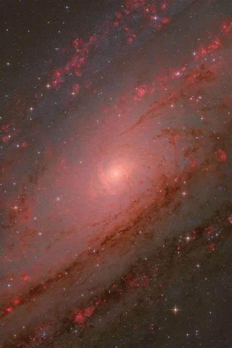 2025年ZWO天文摄影师年度大奖揭晓,全球最卓越的天文摄影作品在多个类别中脱颖而出,呈现了从太阳表面细节到浩瀚星云的震撼视觉盛宴。本文深入介绍各大奖项获奖作品及其背后故事,带领读者领略宇宙的神秘与美丽。
