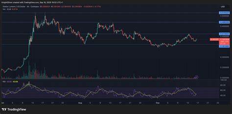 本文深入解析了恒星币(XLM)在近期交易中经历的巨大成交量激增及其随后的剧烈回调,探讨背后的技术面、基本面因素以及对未来走势的潜在影响。
