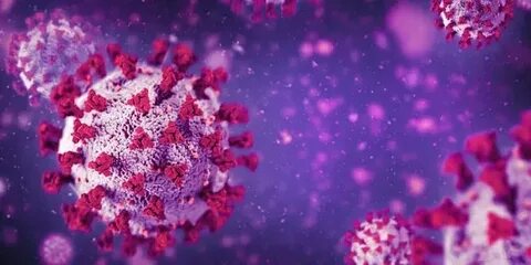 过敏可能成为抗击新冠病毒的意外防护盾:科学研究揭示的潜在益处
