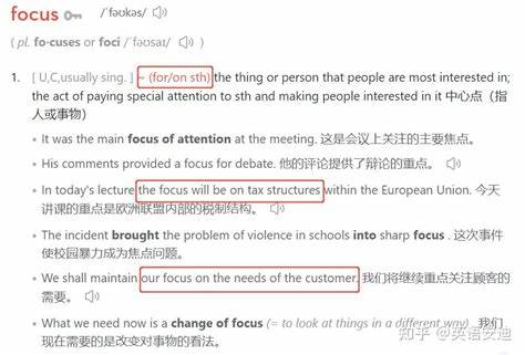全面讲解 focused on 和 focus on 的语法差异、用法区别及实际应用,帮助你轻松掌握英文中这两个短语的正确使用,提升语言表达能力。
