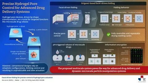 深入探讨水凝胶孔隙调控的前沿技术 -  - 面驱动折叠,分析其在材料科学及生物医学领域的应用潜力与技术优势,揭示其如何带来水凝胶性能的精确操控与创新发展。
