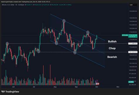 在就业数据意外走弱与美联储降息预期升温的背景下,比特币刷新六周高位并向118,000美元发起冲击。分析从技术面、宏观面与历史经验解读市场驱动力与潜在风险,帮助投资者理解当前行情逻辑与应对策略。
