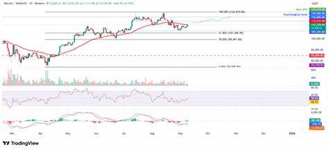 比特币在周末买盘推动下重返112,000美元上方,本文解析推动因素、市场结构变化与关键宏观事件,帮助投资者理解近期波动背后的逻辑及后续潜在走势
