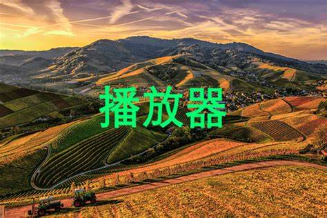 深入分析为什么VLC播放器在国外受欢迎程度高而在国内使用较少,剖析技术环境、用户习惯及市场竞争等多方面因素,揭示VLC在全球视频播放中的地位和国内视频软件市场现状。
