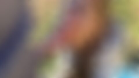 围绕 XVIDEOS(xxxvideos)平台的功能、生态与使用注意事项展开的实用指南,涵盖隐私保护、法律与伦理、内容管理、家长防护及可信替代方案,为负责任地面对成人内容提供可操作建议。
