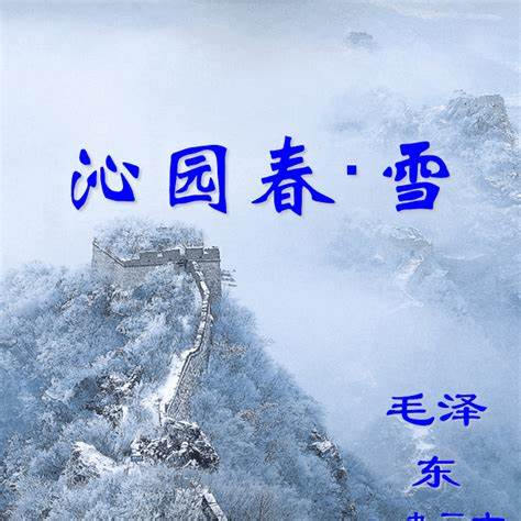 《沁园春·雪》作为毛泽东的代表作之一,以其恢弘的气势和深远的历史眼光,展现了北国壮丽的雪景和诗人豪迈的革命抱负,成为中国现代文学中的经典之作。本文深入解析这首词的创作背景、艺术特色以及历史意义,为读者呈现一幅既感人又震撼的文学图景。
