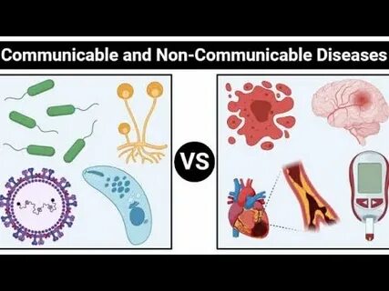 探讨气候变化如何影响传染病的传播模式,CSIRO的最新研究为公共卫生防控提供了重要参考。
