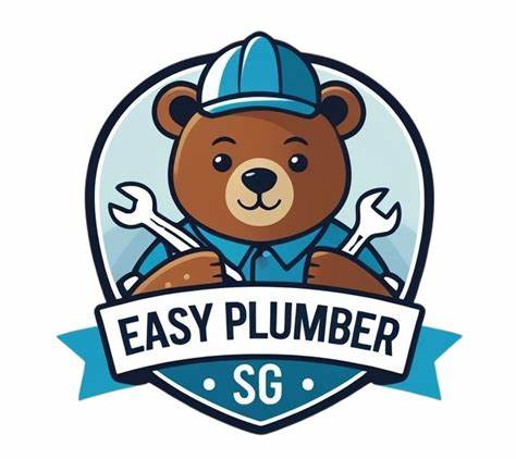 Easy Plumber SG凭借超过25年的丰富经验,成为新加坡提供全方位紧急水管维修服务的领先品牌。无论是水管漏水、堵塞还是设备更换,Easy Plumber SG都能以快速响应和专业技术保障客户的用水安全。
