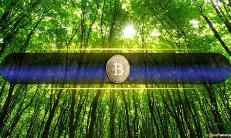 通过分析MVRV比率、长期持币人行为、矿工动态与宏观环境,解读比特币当前的中期盘整信号与潜在上行路径,并指出投资者应重点关注的链上与技术指标以评估未来风险与机会
