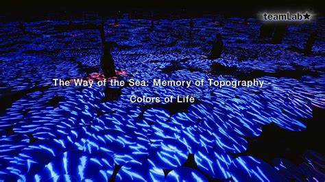 探讨teamLab作品《海之道:地形记忆 - 生命之色》的独特艺术魅力与沉浸体验,揭示数字互动艺术如何打破人类与环境的界限,打造全新空间时间感知。
