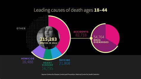 基于USAFacts与CDC公开数据与报告,分析李县(Lee County, FL)新冠病例与死亡数的时序走势、人口与经济影响、数据限制与公共卫生应对经验,并提出对未来公共卫生准备的建议
