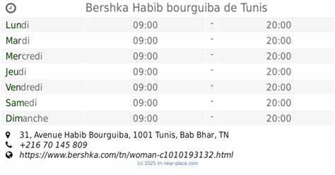 深入了解位于突尼斯哈比布·布尔吉巴购物中心的Bershka店铺,涵盖其地理位置、营业时间及独特购物体验,助力消费者高效规划行程,享受时尚购物乐趣。
