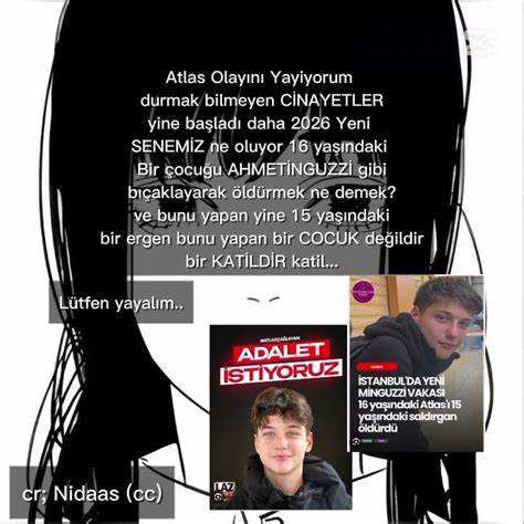 深入分析《Eşref Rüya》第14集剧情发展,探讨Eşref与Kadir之间的领导权之争,揭示角色动机与故事走向,解读这一冲突对整个剧集的影响。
