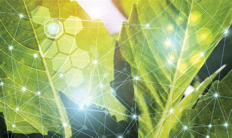 深入探讨西开普省教育部门推出的11年级生命科学学习教材,解析其数字化形式如何促进学生学习效果,助力教师教学效率提升,并推动南非基础教育现代化进程。本文从内容结构、课程对接及数字资源优势展开全面介绍。
