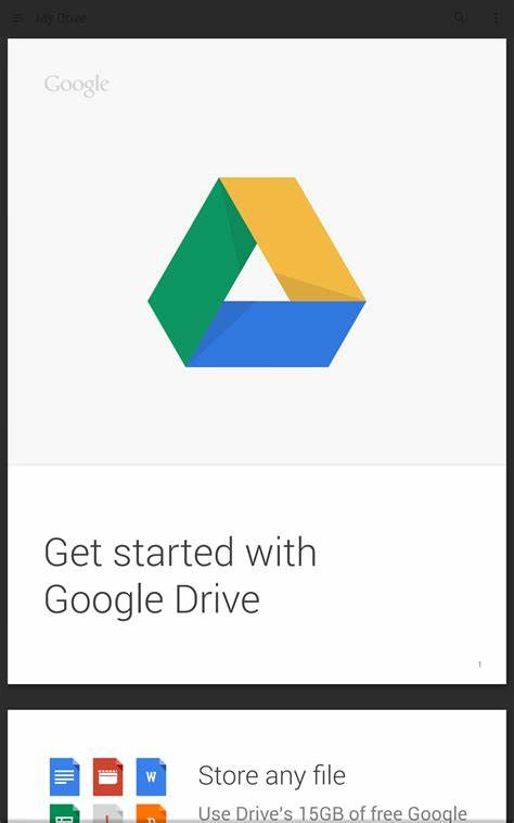 深入了解Google Drive的功能、优势及其在个人和企业中的广泛应用,探讨如何高效利用这一强大云存储平台提升工作与生活效率。
