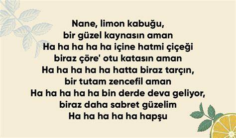 深入探索土耳其传奇音乐人巴里什·曼乔与其名作《薄荷柠檬皮》的歌词世界,解读歌曲背后的文化意义和音乐魅力,感受东方与西方音乐的独特交融。
