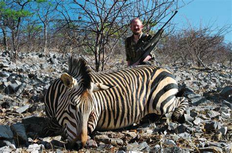 围绕奖杯狩猎的争议话题展开,探讨其生态保护、经济贡献与社会伦理的多重维度,呈现不同声音与角度,帮助读者全面理解这一复杂现象。
