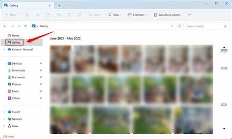 探索在Windows 11文件资源管理器导航窗格中添加或移除图库的方法,深入了解该功能的作用、使用技巧以及常见问题解决方案,助力用户优化照片管理体验。
