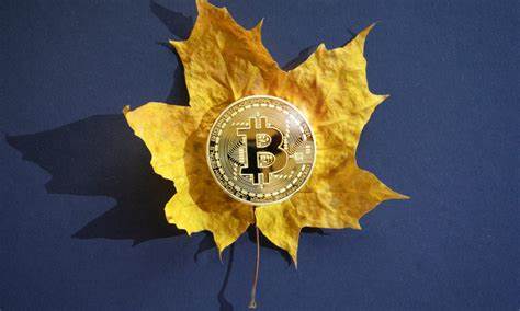 从市场价格、知名分析师观点、链上数据与宏观环境出发,系统解析比特币近期上涨动因、潜在价格路径与主要风险,为关注2025年第四季度牛市起点的读者提供可操作的认知框架与判断依据。
