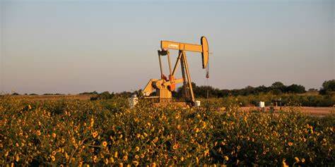 深入分析能源与公用事业行业的最新市场动态,探讨行业面临的挑战与机遇,展望未来发展趋势,为投资者和行业从业者提供权威参考。
