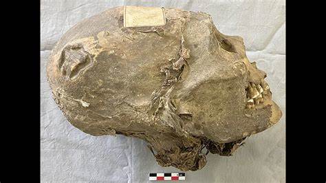 通过溯源研究,揭示了19世纪被掠夺的'印加木乃伊'实为艾马拉人身份的真相,探讨了其历史背景及文化意义。
