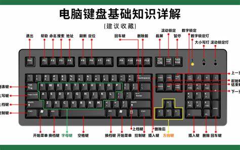 详细介绍电脑键盘上Ins键的功能及操作方法,帮助用户全面了解Ins键在文字编辑和办公中的实际应用,提高使用效率。
