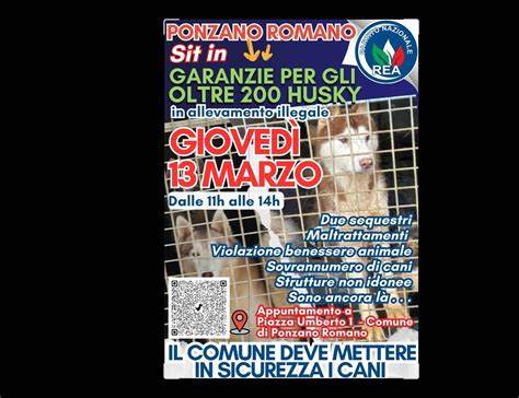 庞扎诺罗马诺非法哈士奇养殖场的恶劣条件暴露出动物福利严重问题,引发社会各界关注和抗议,呼吁相关部门立即介入,加强动物保护执法力度,确保被拘留哈士奇安全获救。
