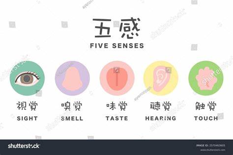 探索翻译与品味之间深刻的联系,揭示翻译作为文化交流与审美判断的载体,在塑造我们对"美好"的多元理解中所扮演的重要角色。本文深入探讨翻译的不确定性、品味的复杂性,以及思想家如阿伦特和丹尼尼的理论,阐释翻译如何成为道德、审美与政治判断的实践场域。
