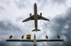 深入探讨华尔街日报如何通过分析超过一百万份联邦航空管理局(FAA)报告,揭示航空安全背后的关键问题与趋势,助力行业改进与政策制定。
