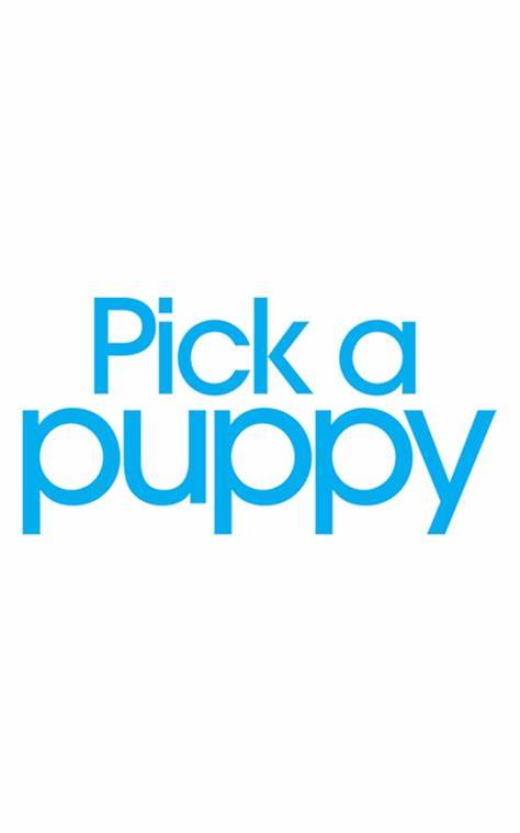 全方位剖析热门宠物养护真人秀《Pick a Puppy》及其精彩剧集,探索不同犬种背景与家庭故事,揭示节目背后的情感与养犬知识。
